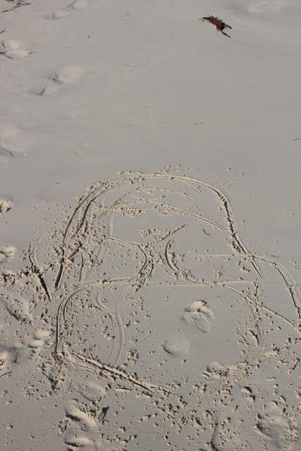 beach art - free image