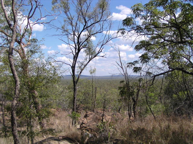 Bell´ Verizon - free image