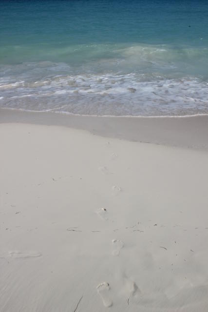 body of salty water - free image