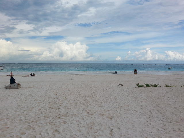 calm nature - free image