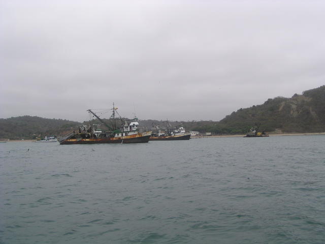 fishing boats - free image