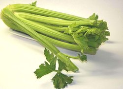 fresh celery