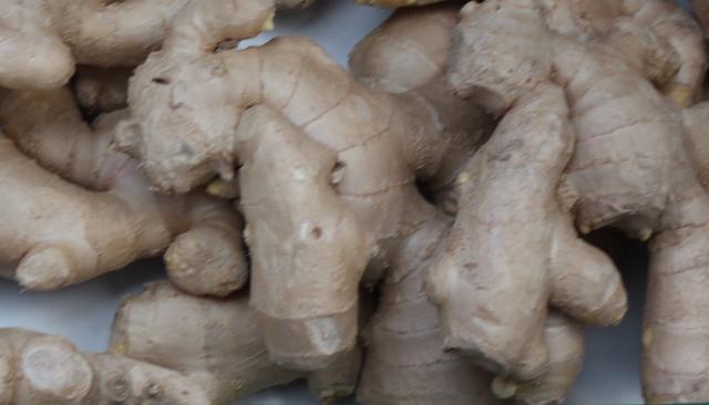 Fresh ginger - free image