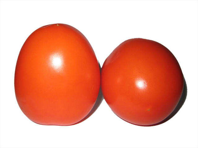 Fresh tomatoes - free image