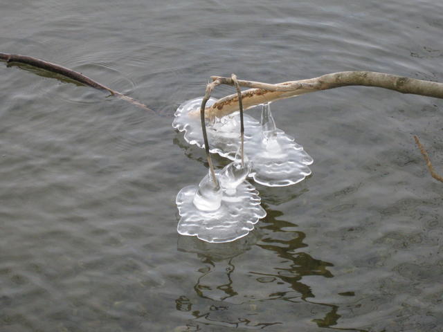 frozen spray - free image