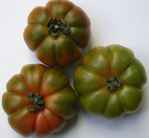 green tomatoes