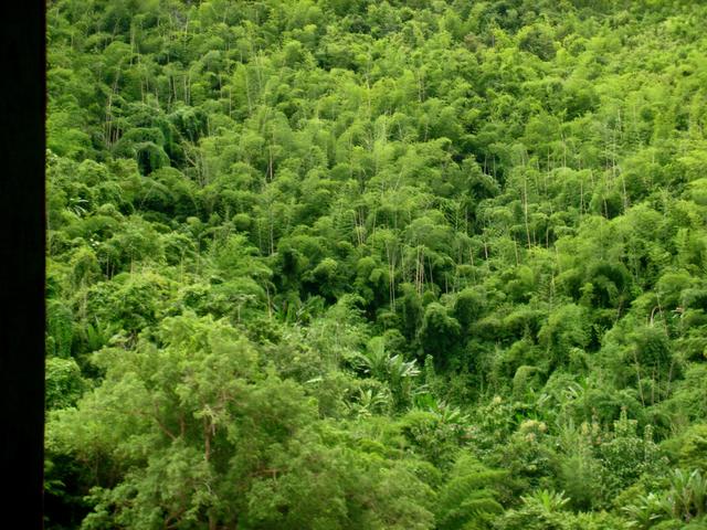 Green valley - free image