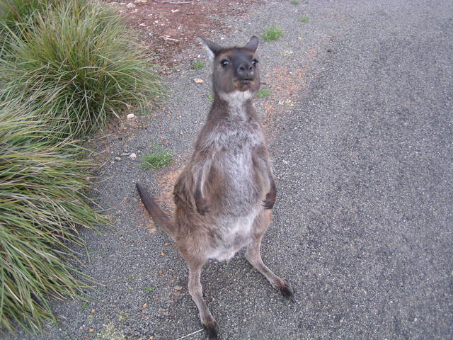 Hey what´s up?! - free image