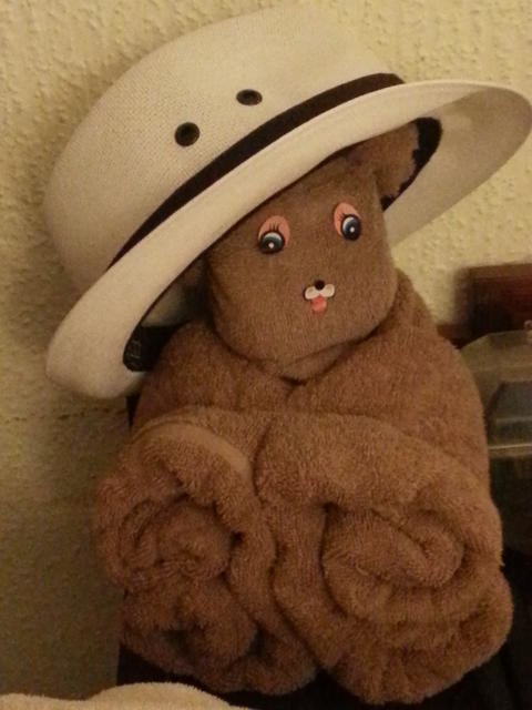 hunter's hat - free image