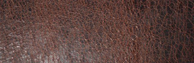 Leather Strap - free image