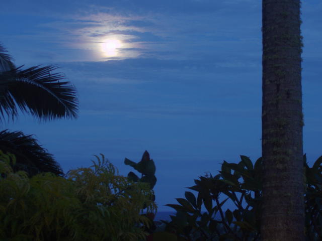 mystic moon - free image