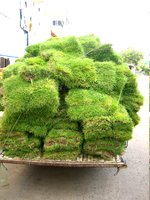 portable lawn