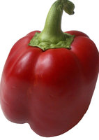 red sweet pepper