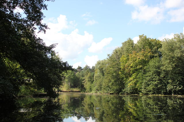 River in the jungle - free image