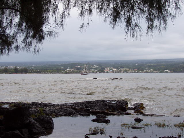 Seashore - free image