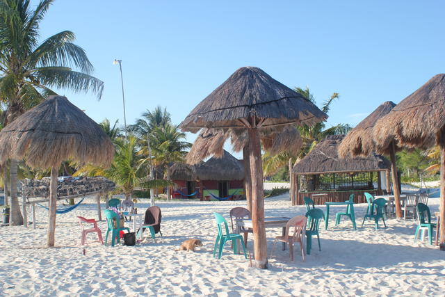 sitting arrangements - free image