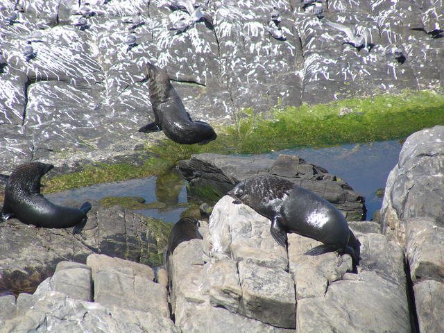 Taking the sun - free image