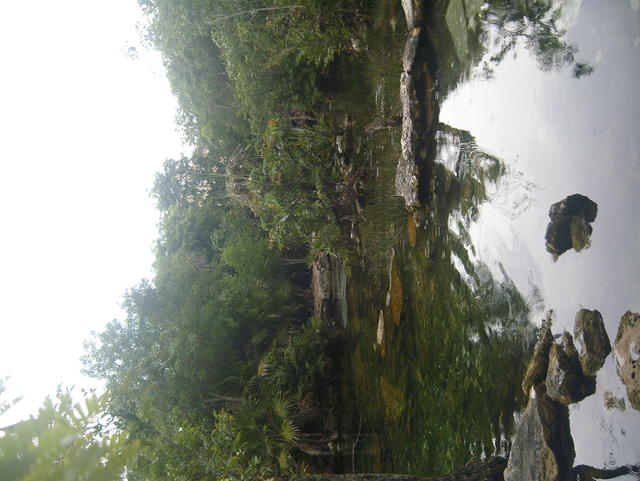 tiny shallow lake - free image