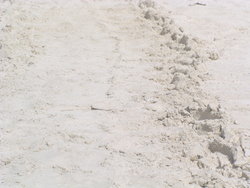 tyre trail in sand