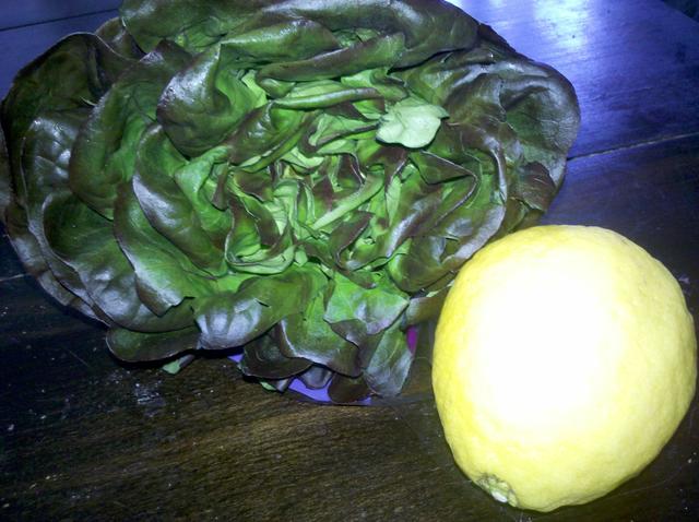 vegetables - free image