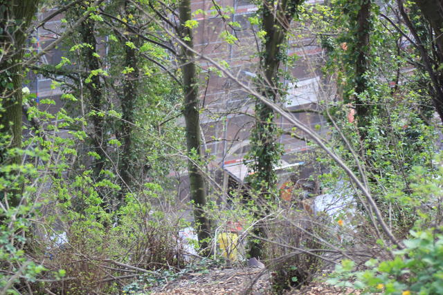 view point - free image