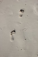 washed away sea coast