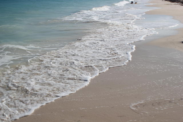 washed up beach - free image