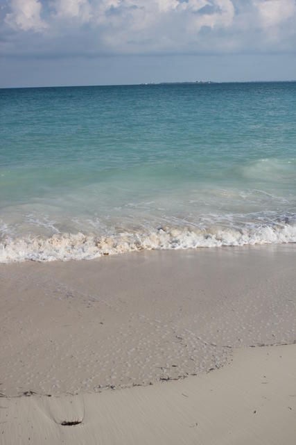 washing the shore - free image