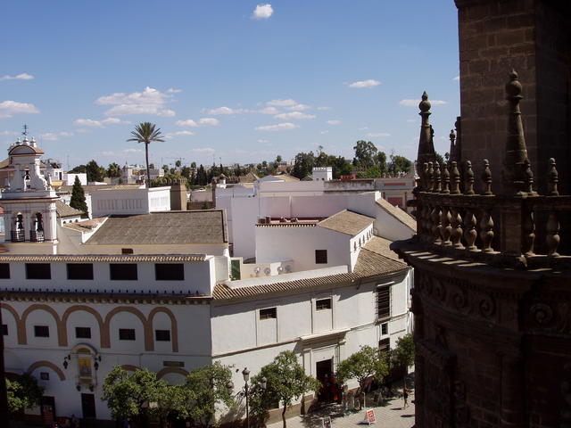 White building - free image