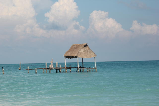 wood and hay shelter - free image